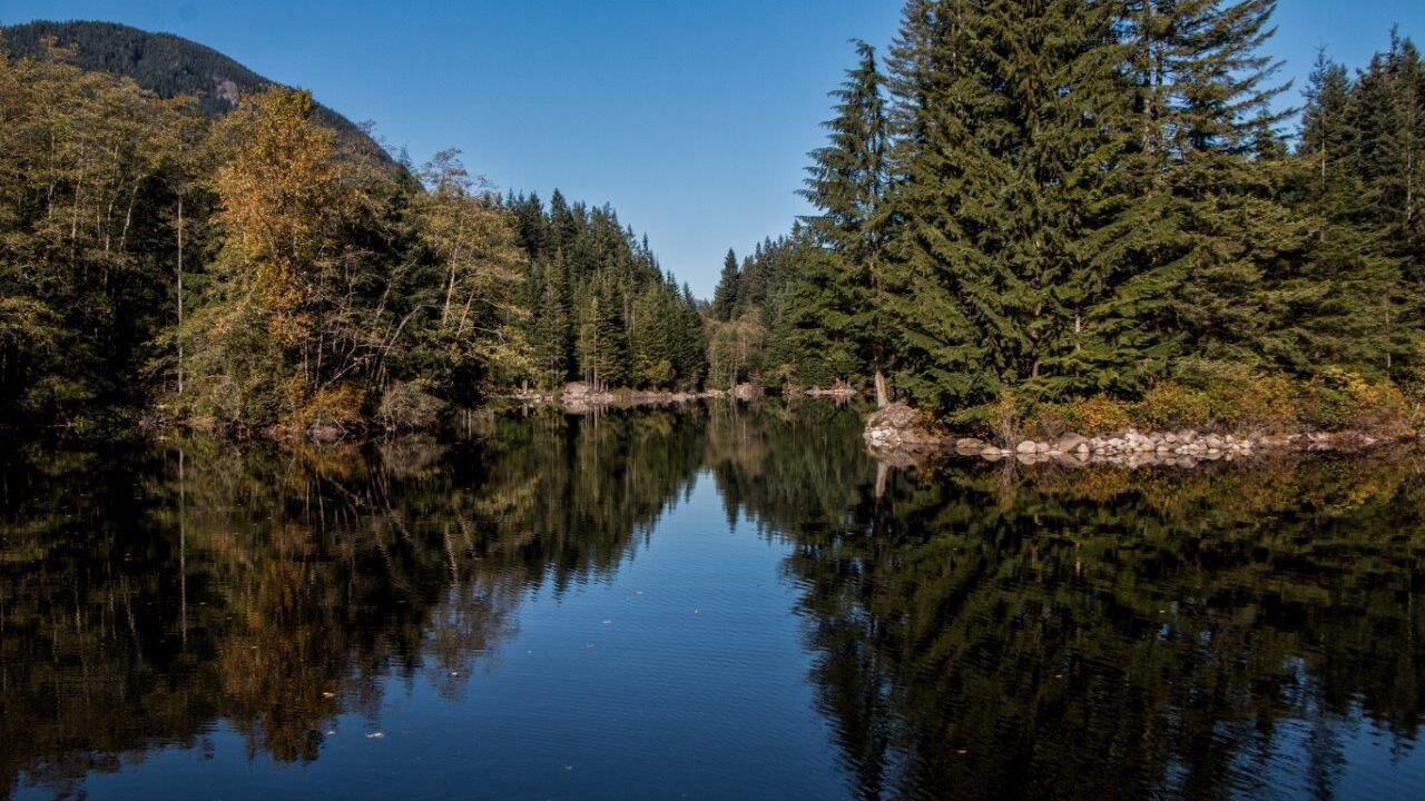 Photo of Outdoor in Grouse Woods
