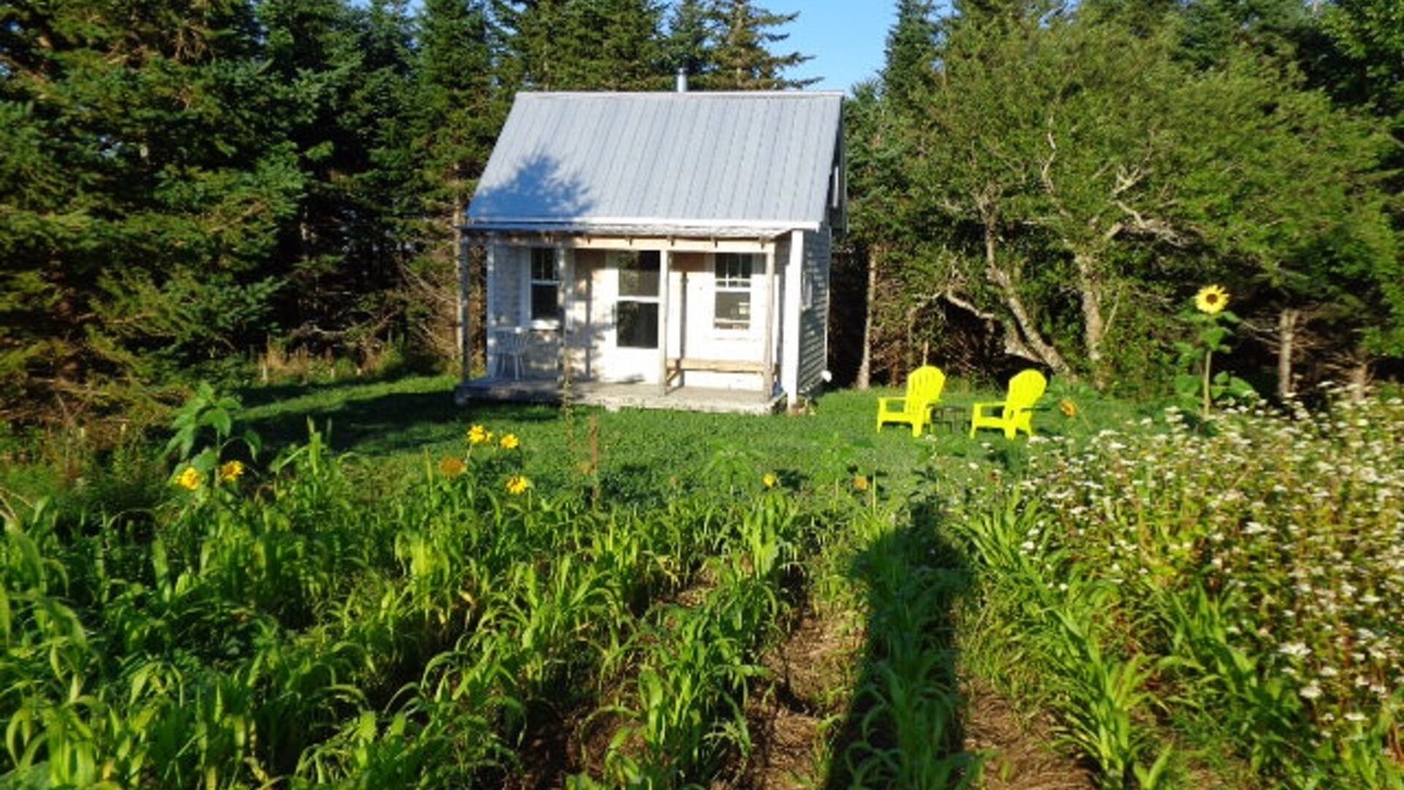 Photo of Others in Lunenburg County