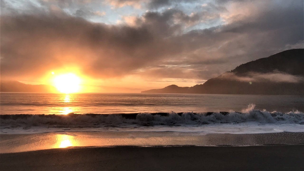 Photo of Others in Port Renfrew
