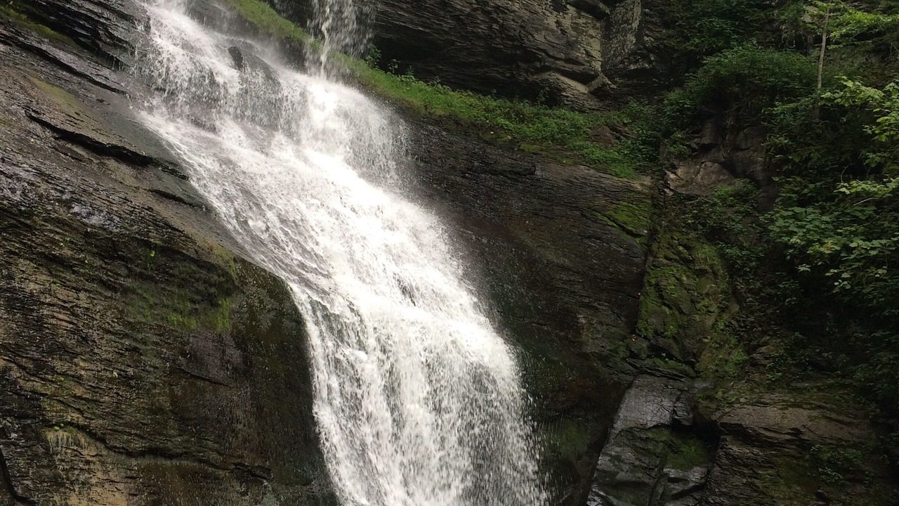 Photo of Outdoor in Town of Sempronius