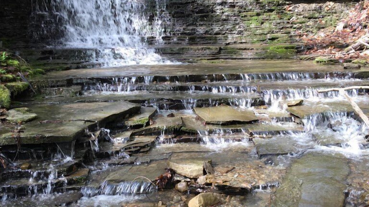 Photo of Others in Dalton