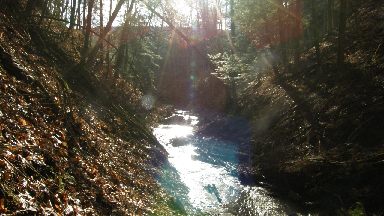 Photo of Others in Dalton