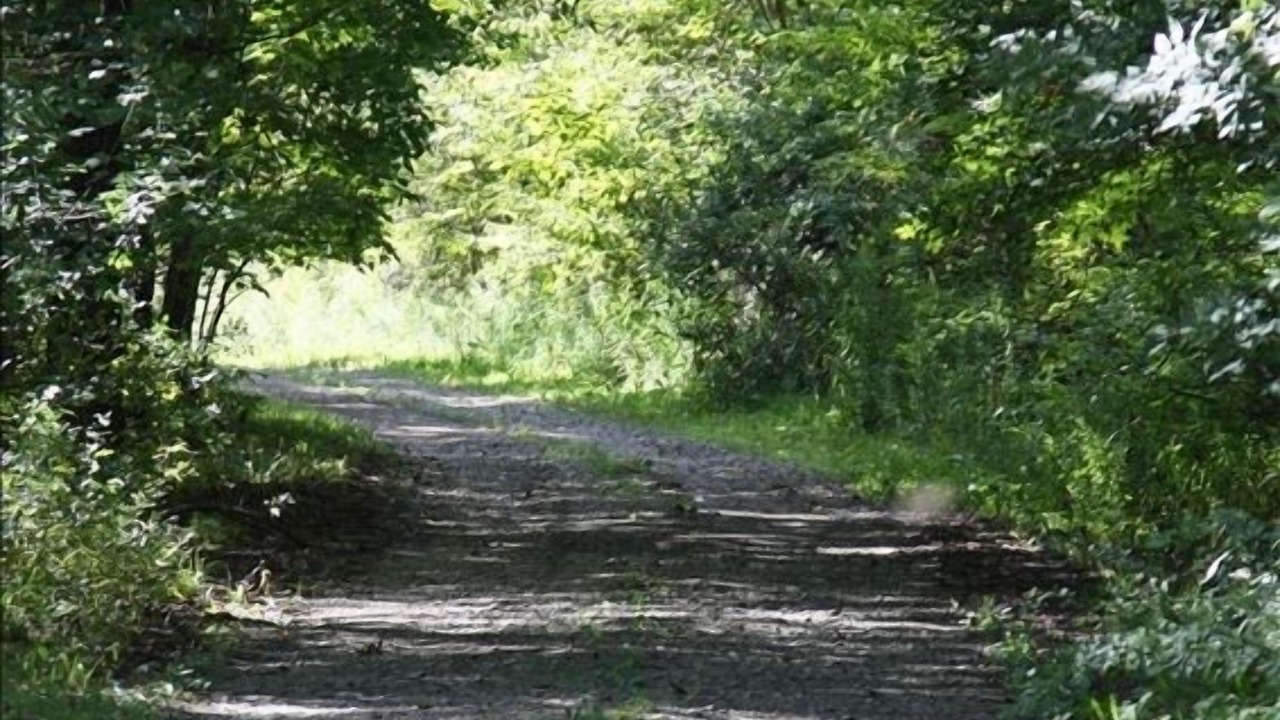 Photo of Outdoor in Great Valley