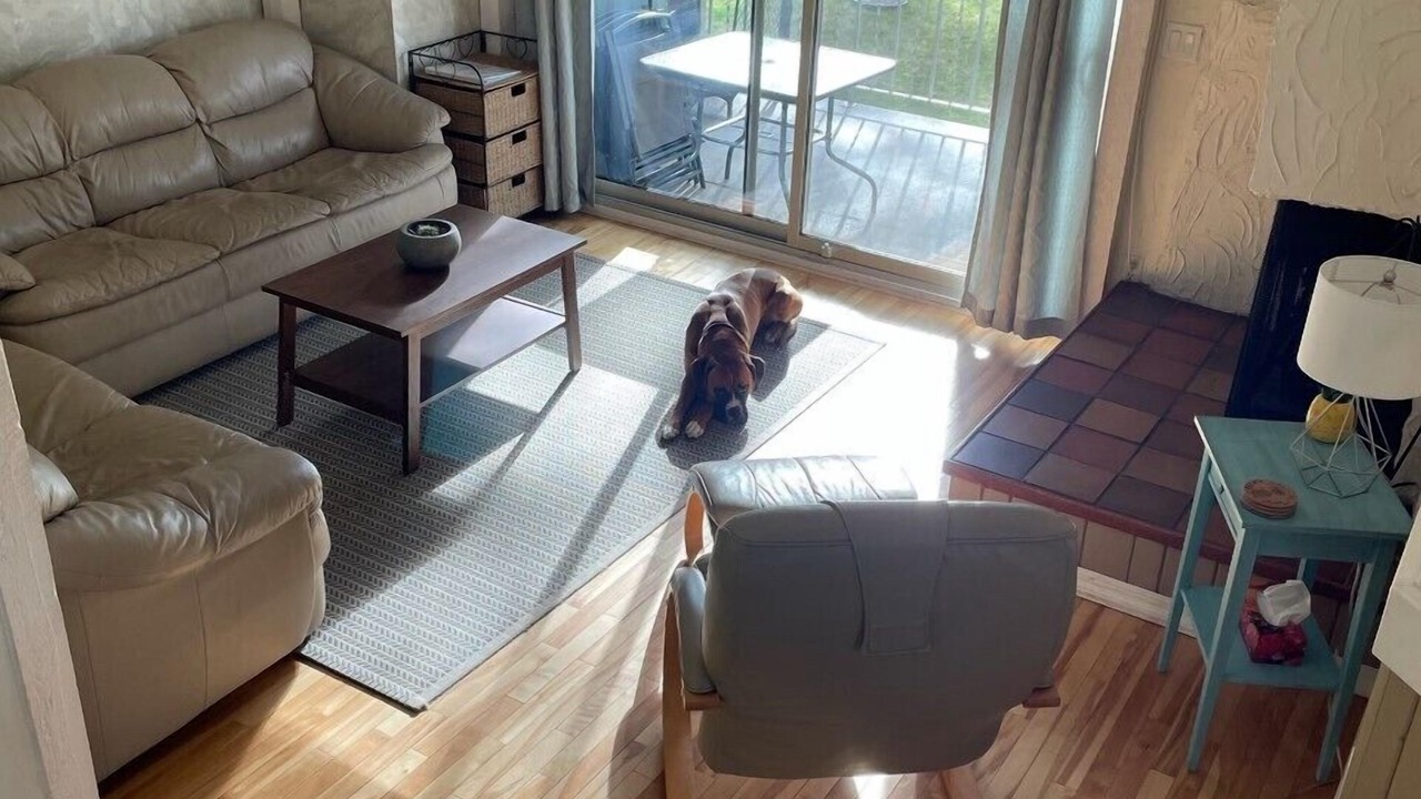 Photo of Livingroom in Windermere