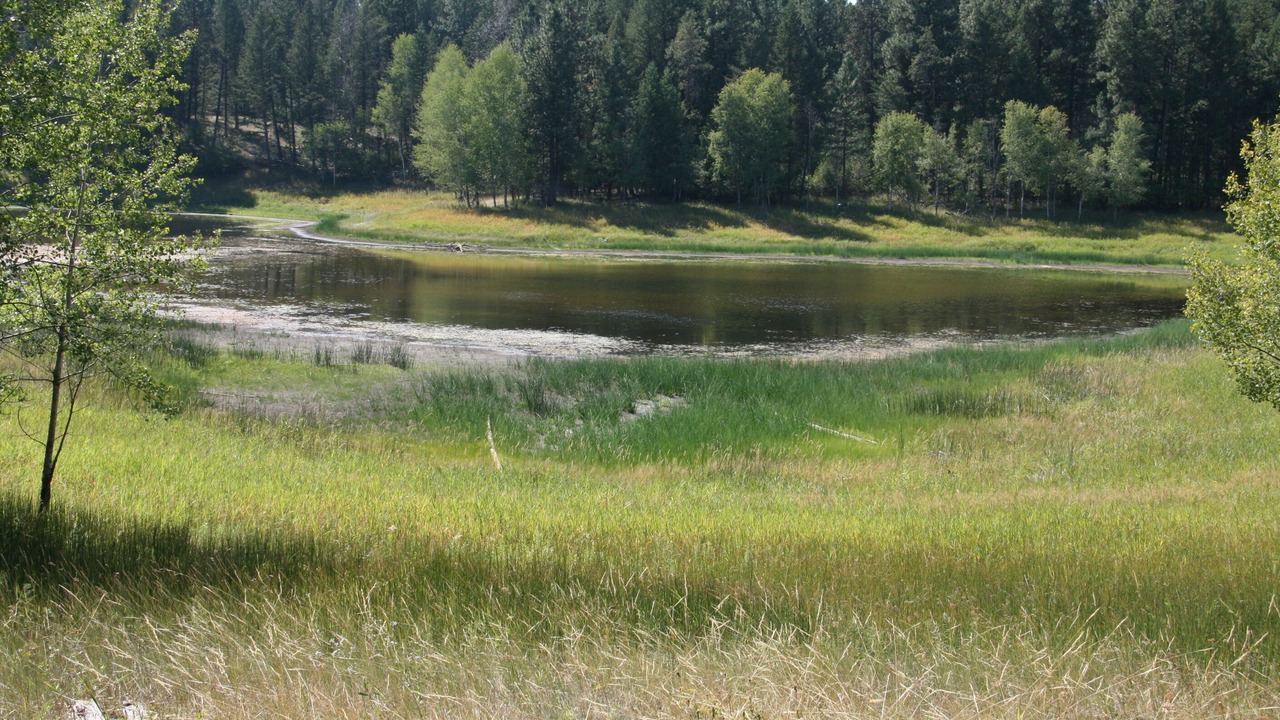 Photo of Others in East Kootenay