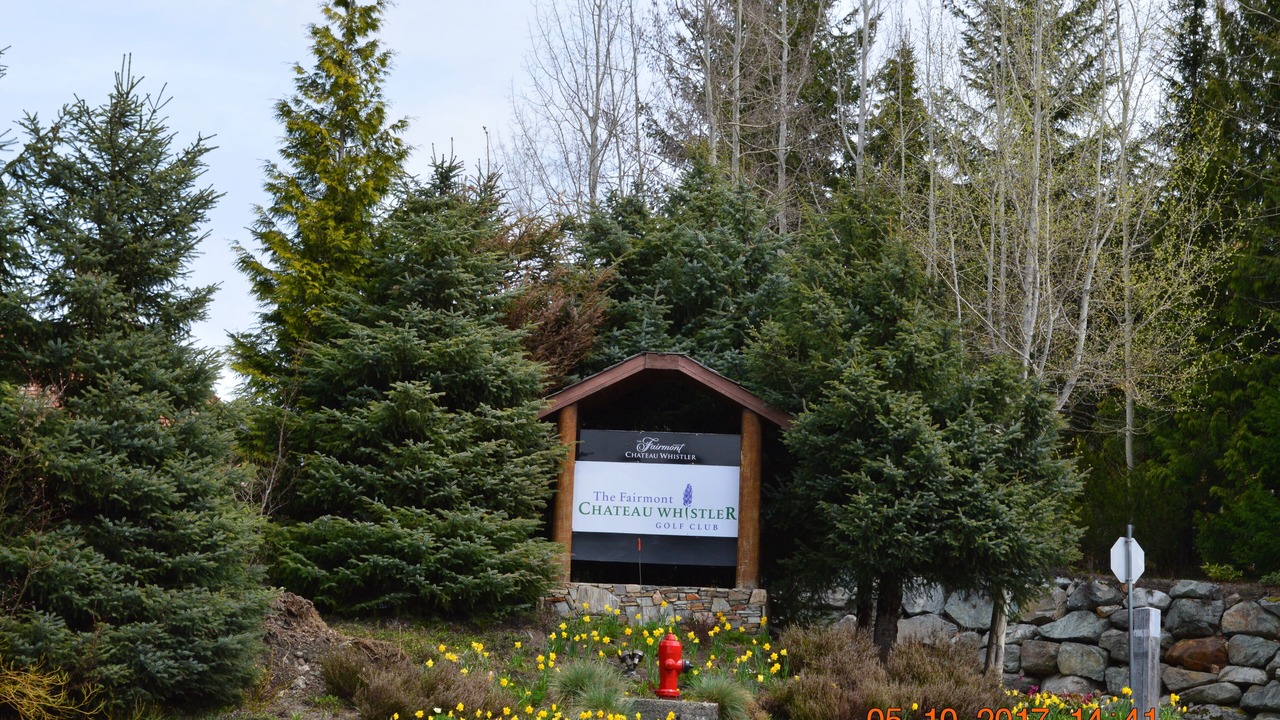 Photo of Others in Blackcomb