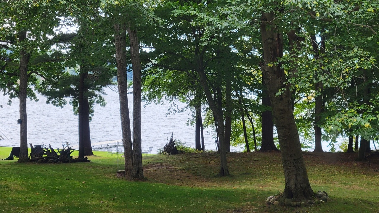 Photo of Outdoor in Free Soil