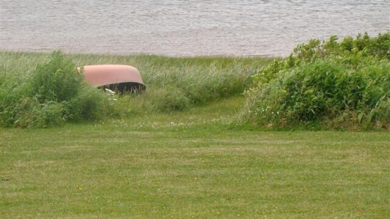 Photo of Others in Belle River