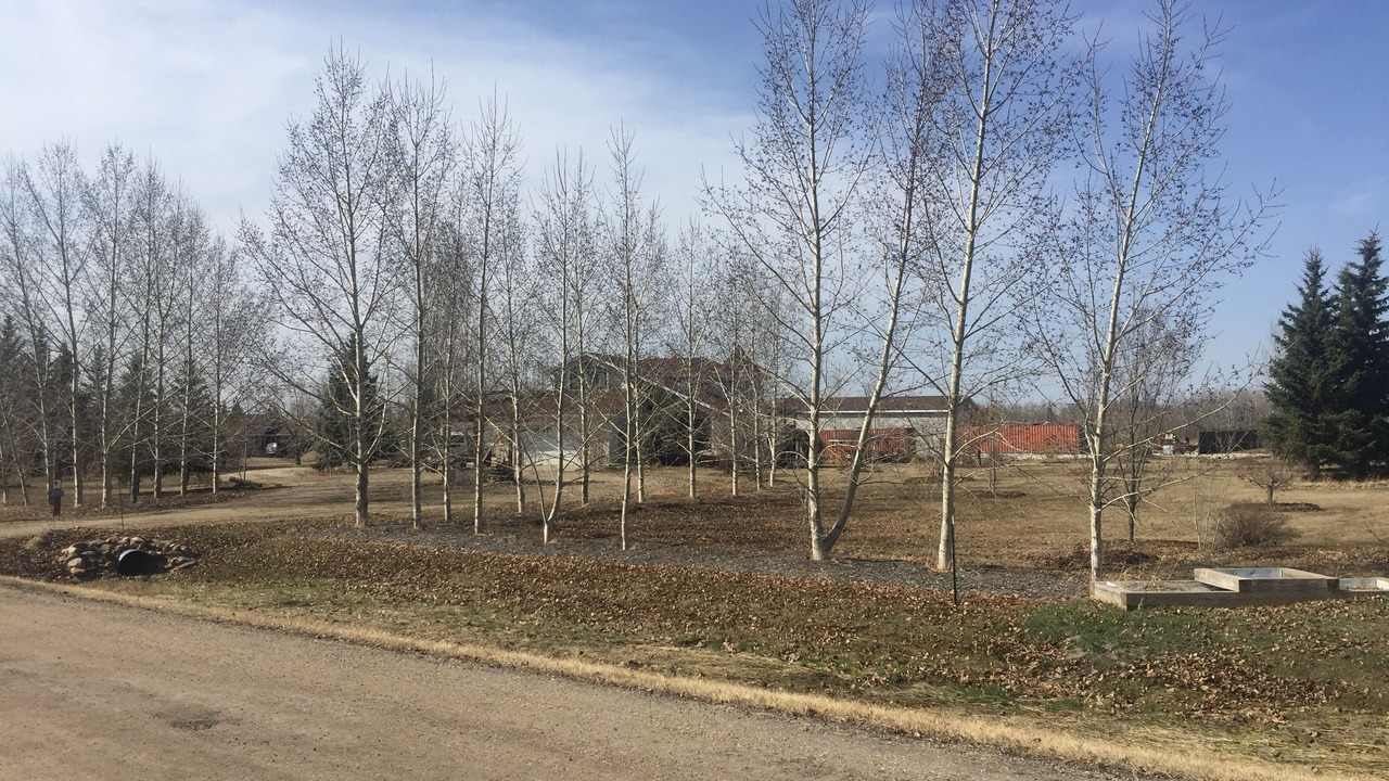 Photo of Others in Leduc County