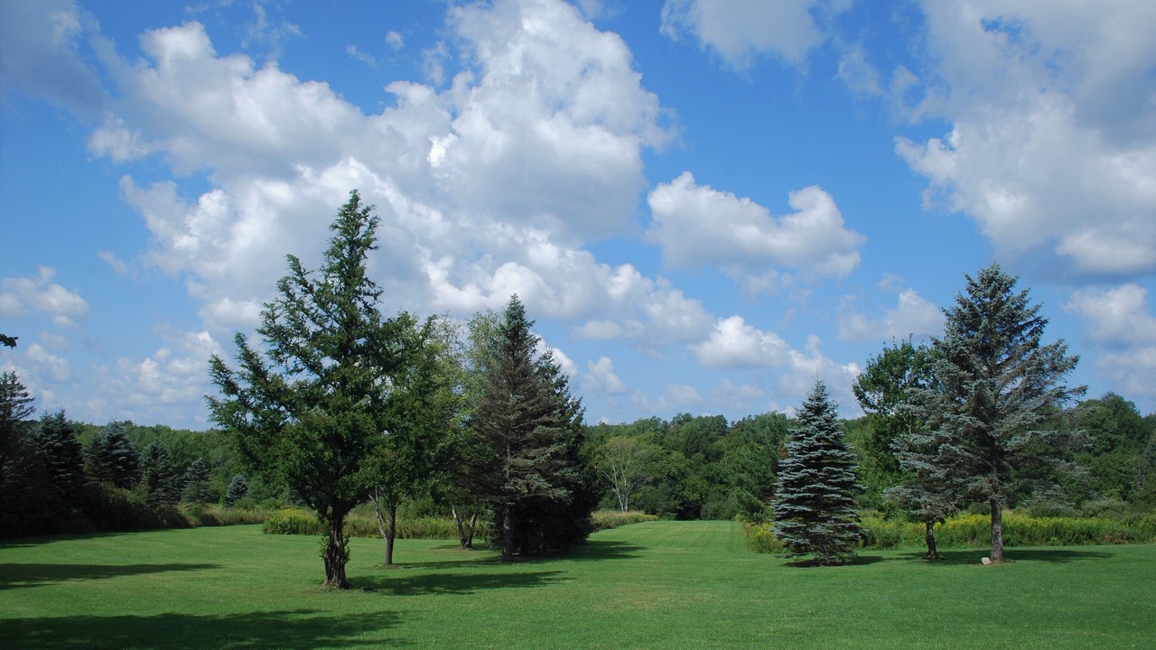Photo of Others in Erie County