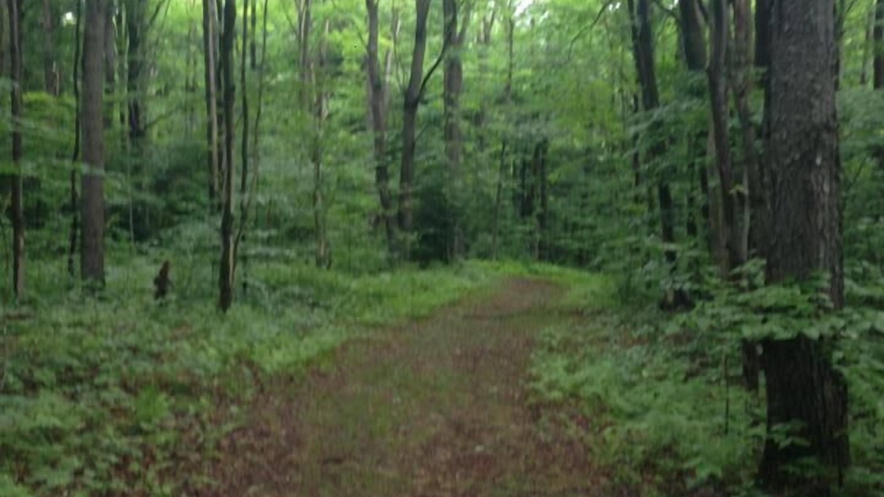 Photo of Outdoor in Erie County
