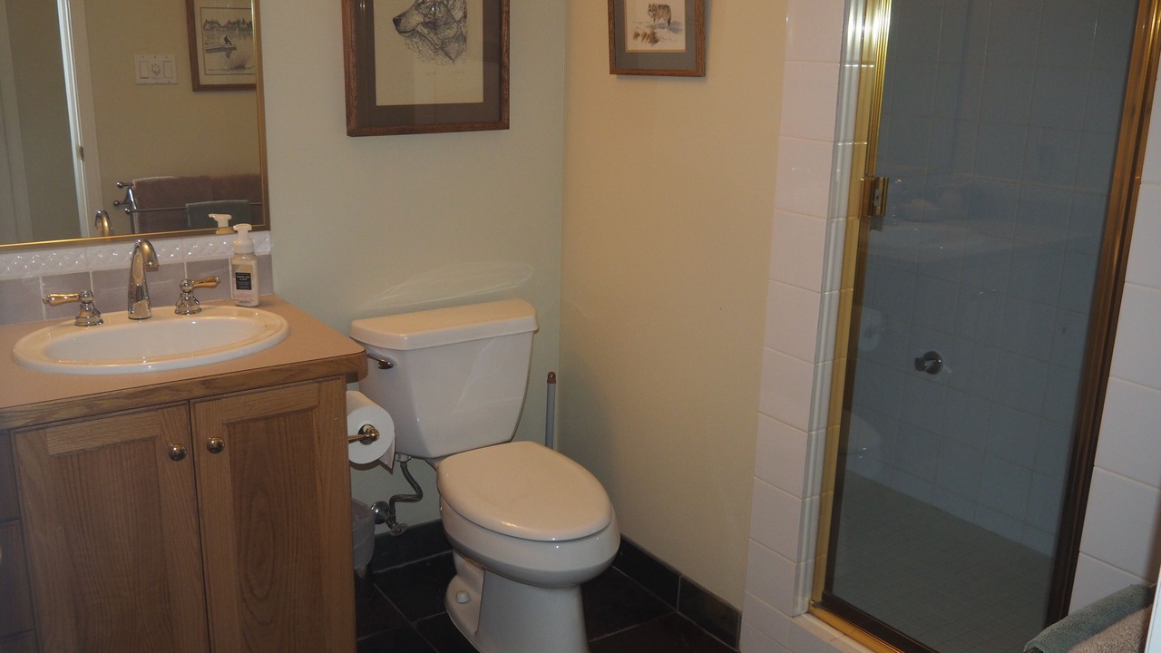 Photo of Bathroom in Port Moody