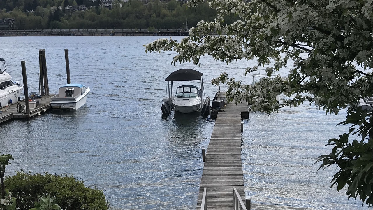 Photo of Others in Port Moody