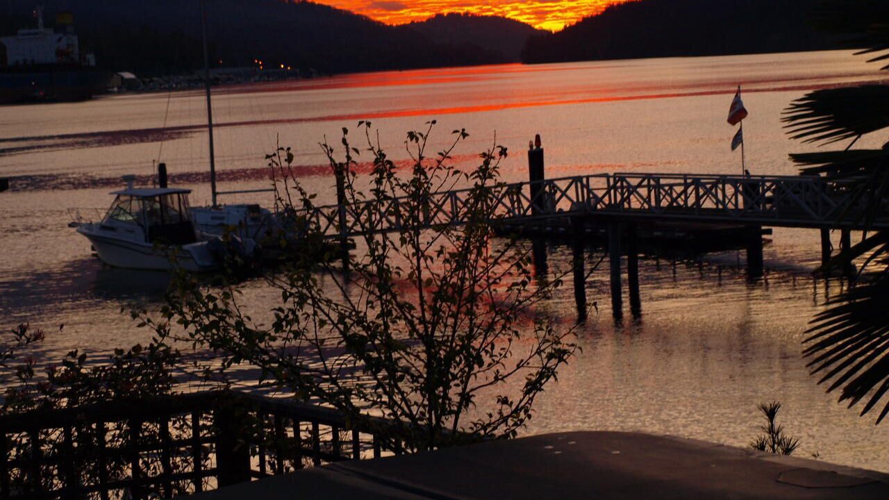 Photo of Others in Port Moody
