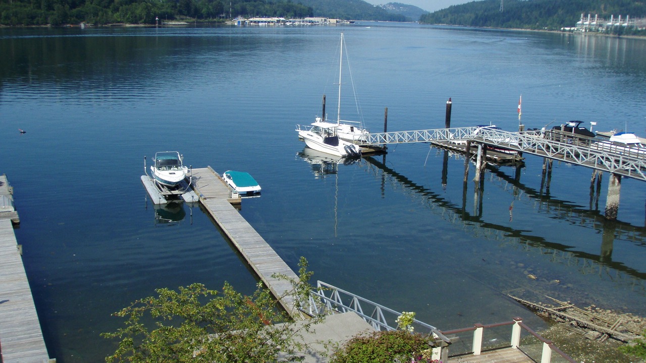 Photo of Others in Port Moody