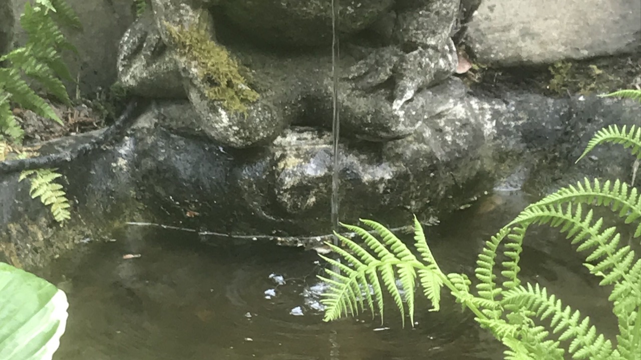 Photo of Outdoor in James Bay