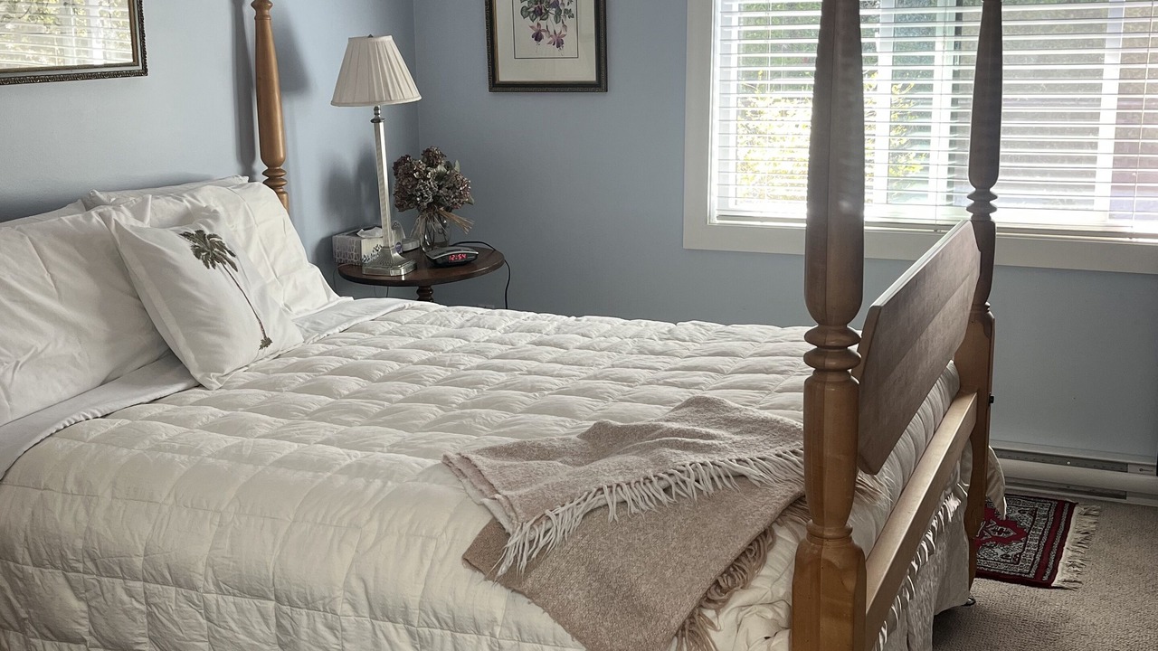 Photo of Bedroom in James Bay