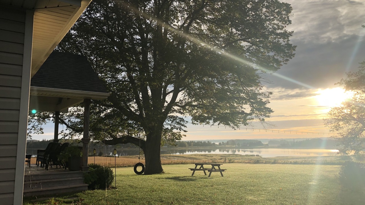 Photo of Outdoor in New Dominion