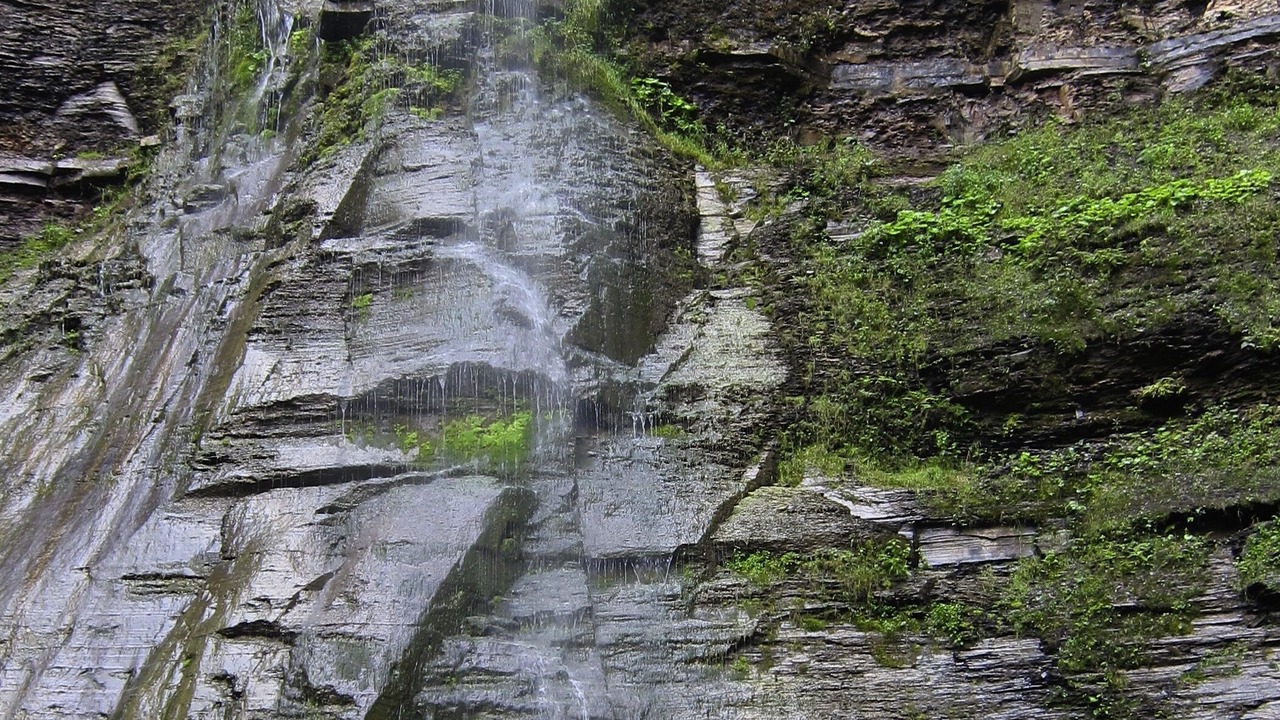 Photo of Outdoor in Town of Milo