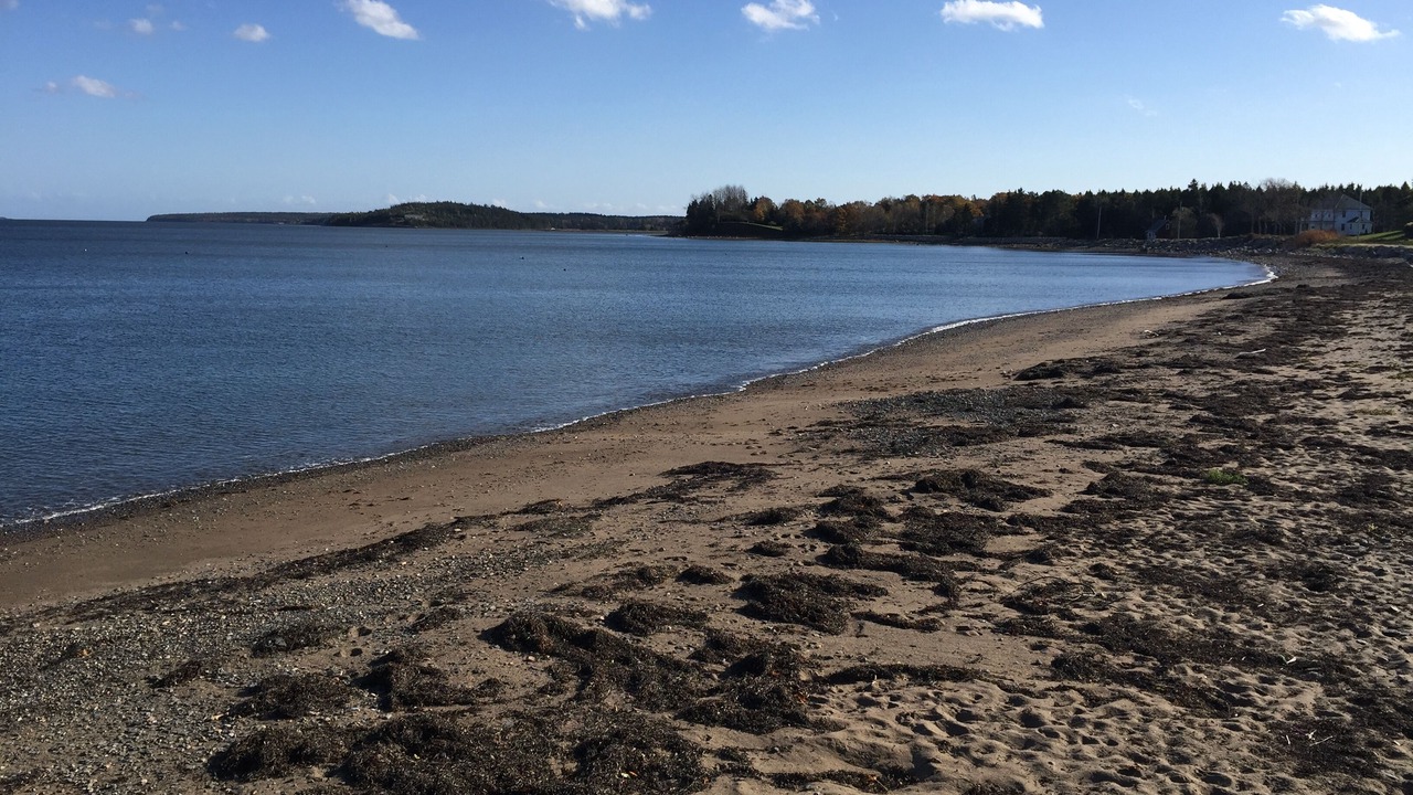 Photo of Others in Lunenburg
