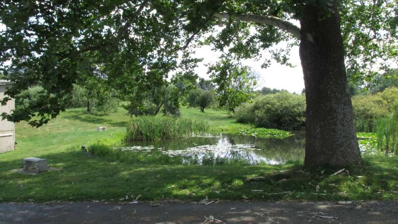 Photo of Outdoor in Russell