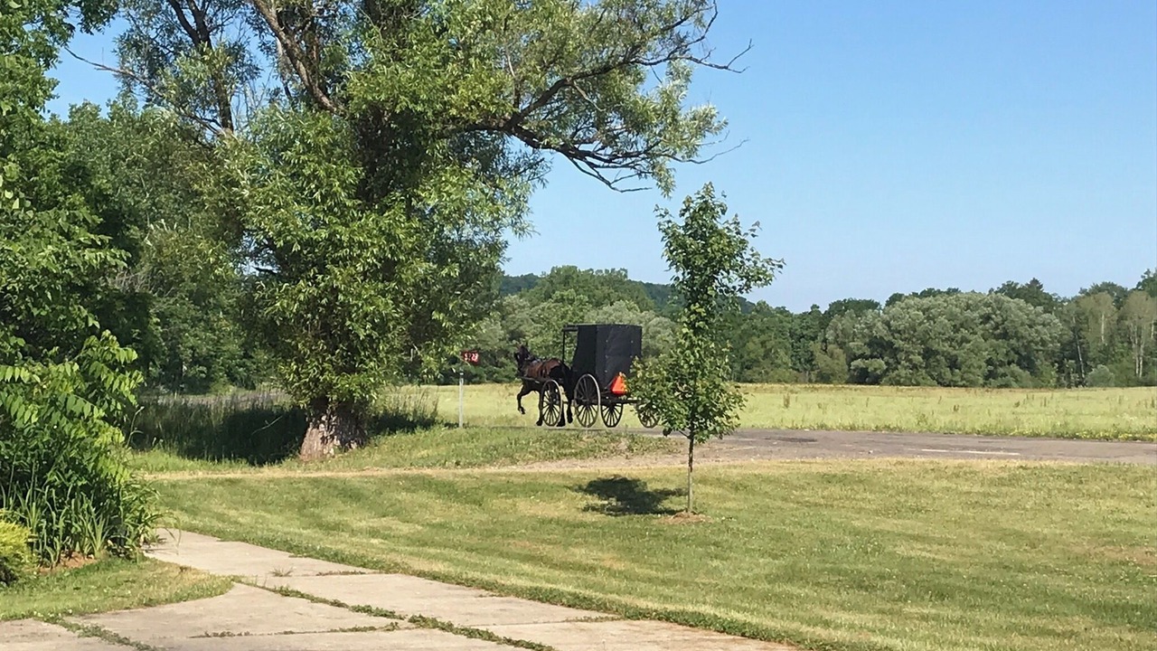 Photo of Others in Little Valley