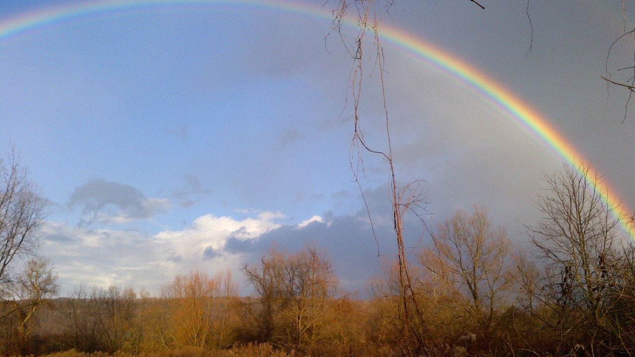 Photo of Others in Little Valley