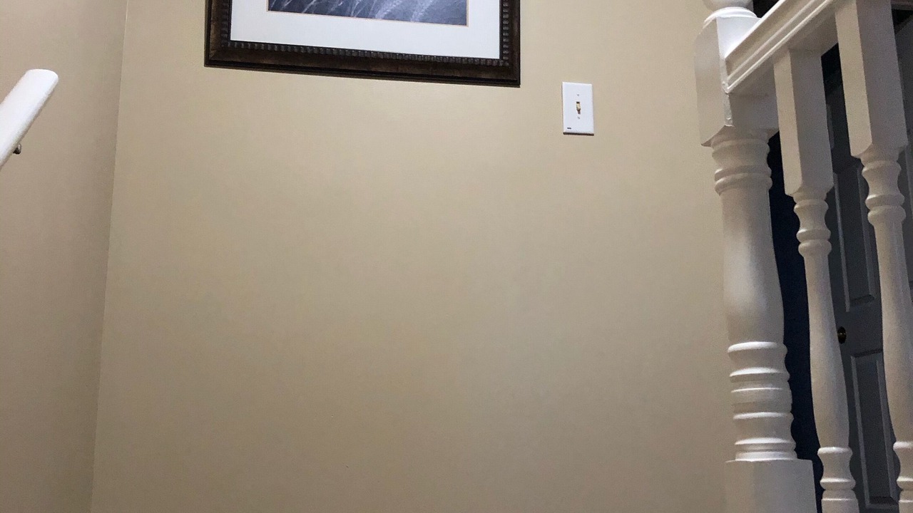 Photo of Others in Willert Park