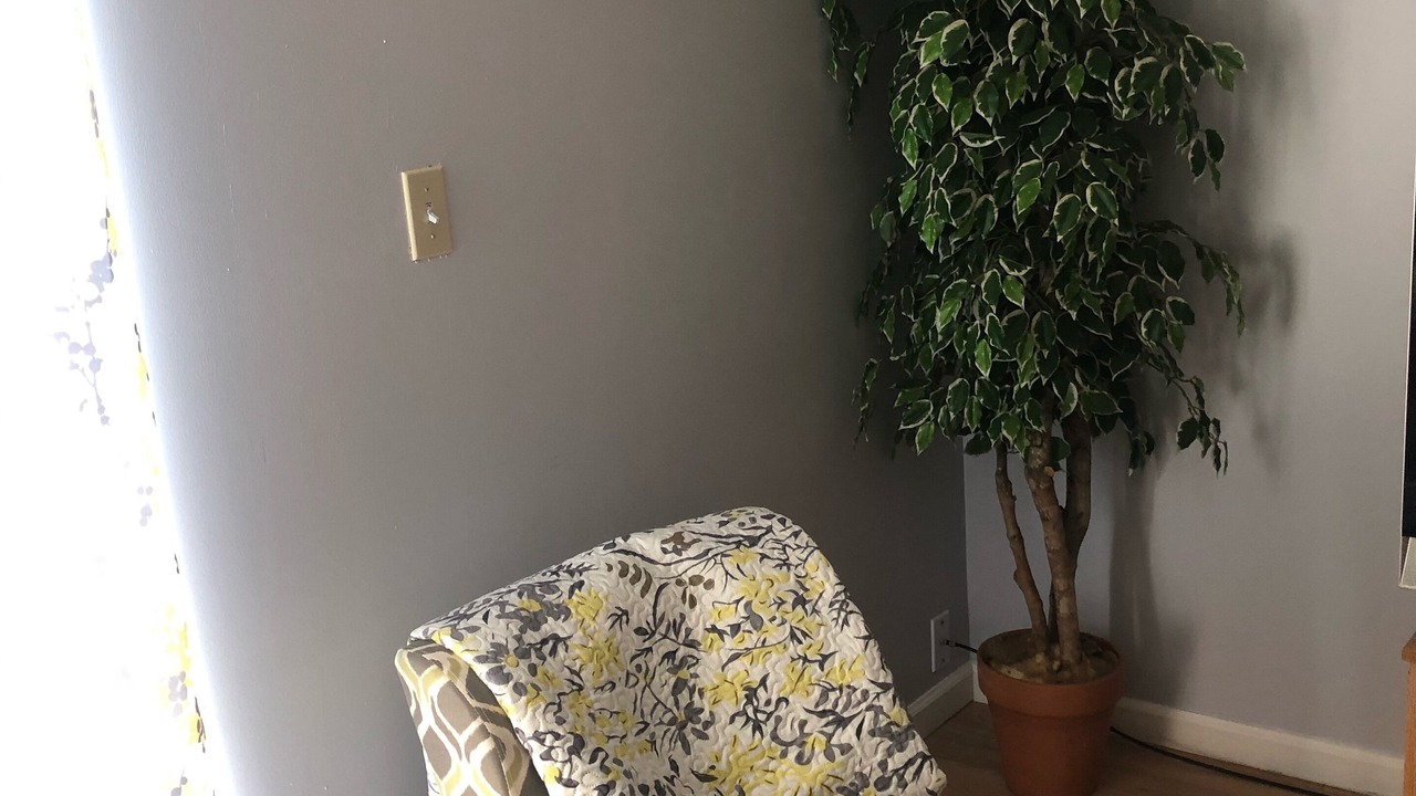 Photo of Livingroom in Willert Park
