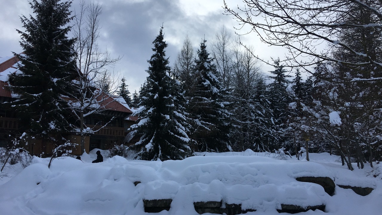 Photo of Others in Village North