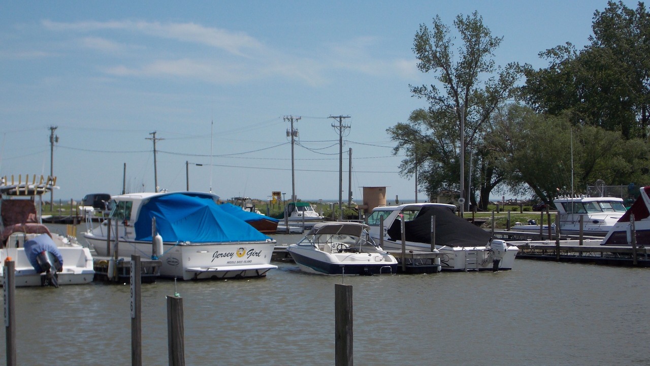 Photo of Others in Oak Harbor