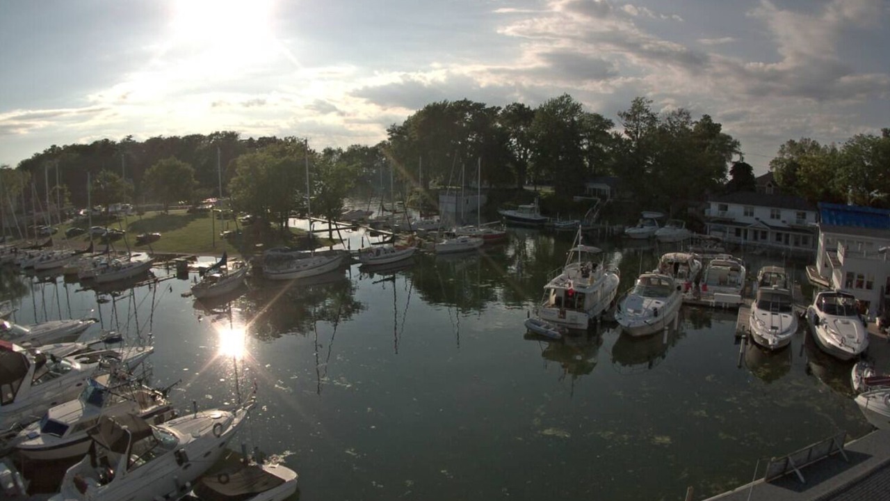 Photo of Others in Wilson