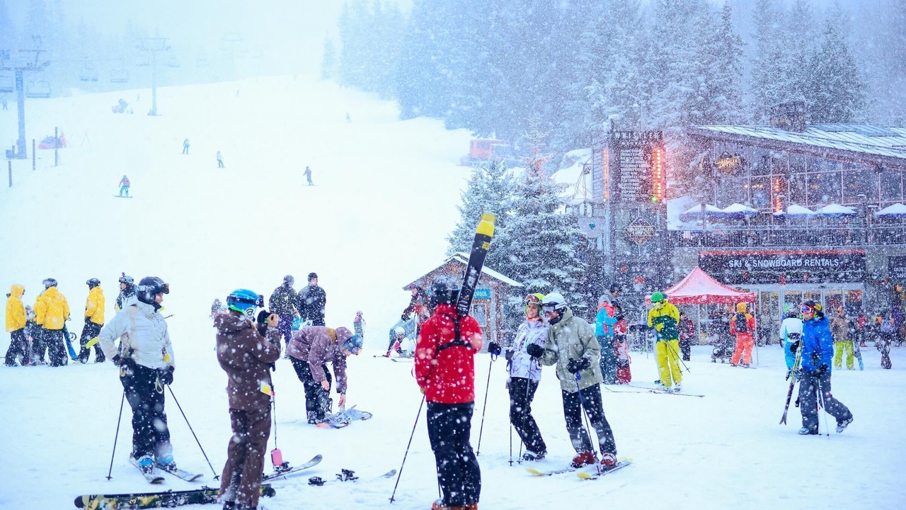 Photo of Others in Blackcomb