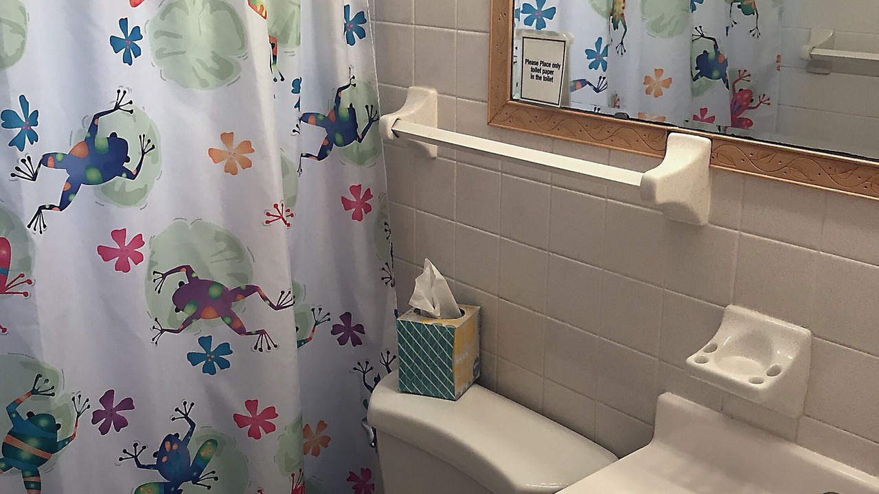 Photo of Bathroom in Kelleys Island