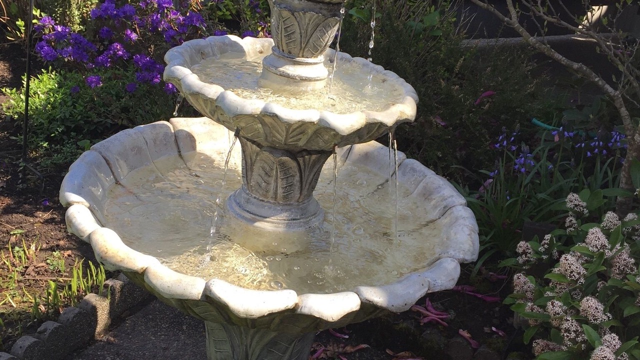 Photo of Outdoor in Saanich East