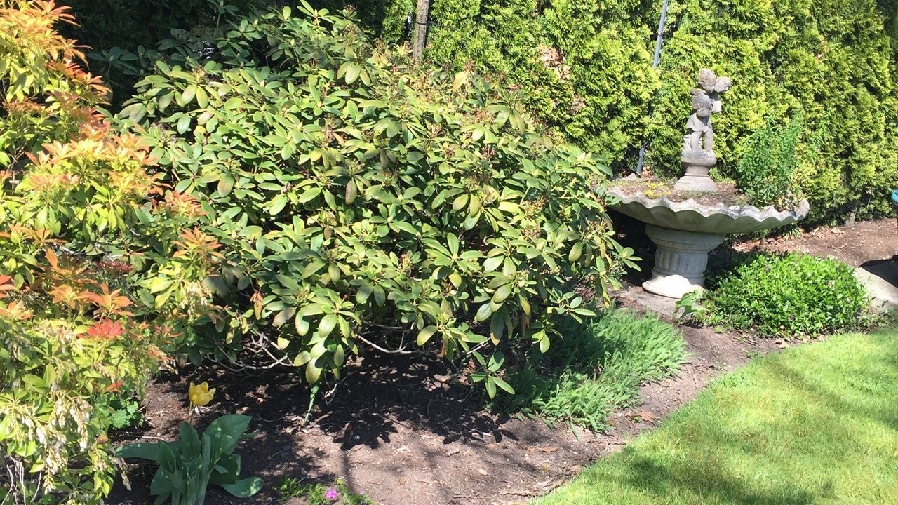 Photo of Outdoor in Saanich East