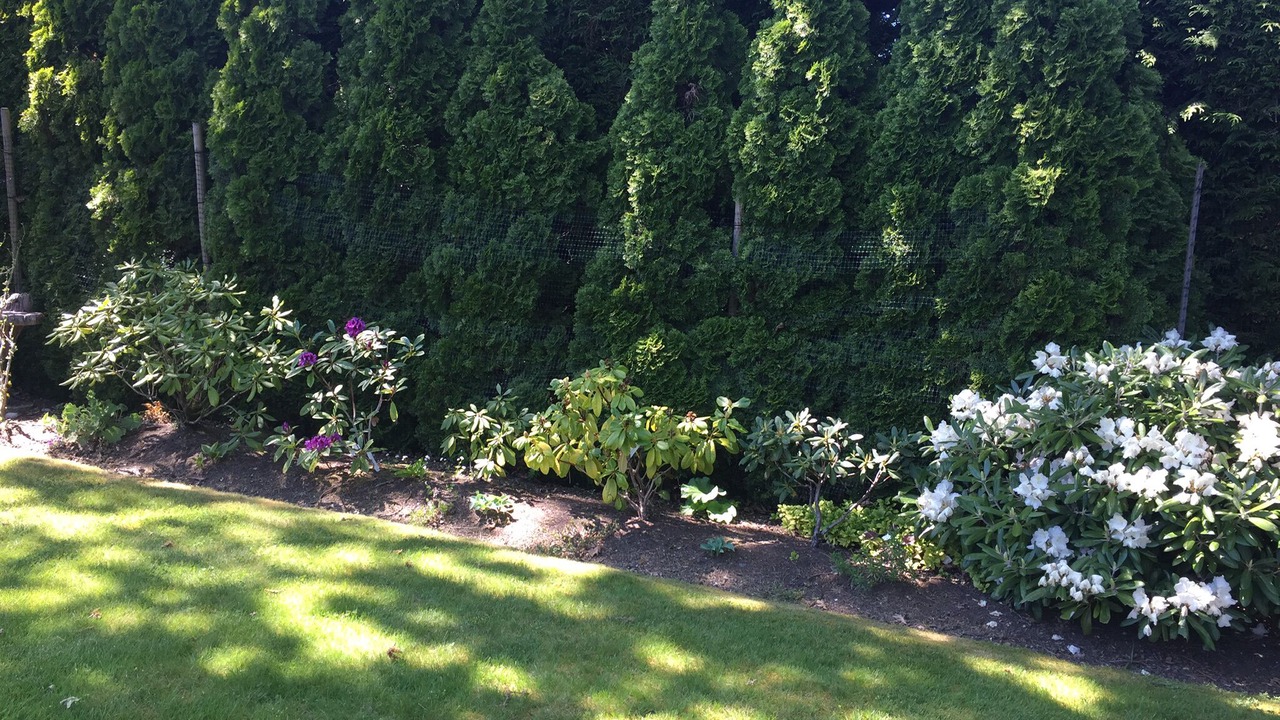 Photo of Outdoor in Saanich East