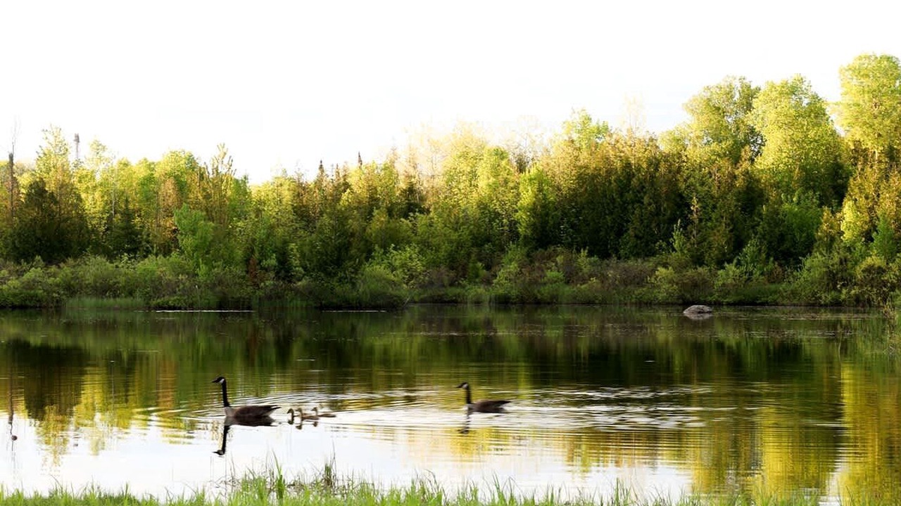 Photo of Others in Miller Lake
