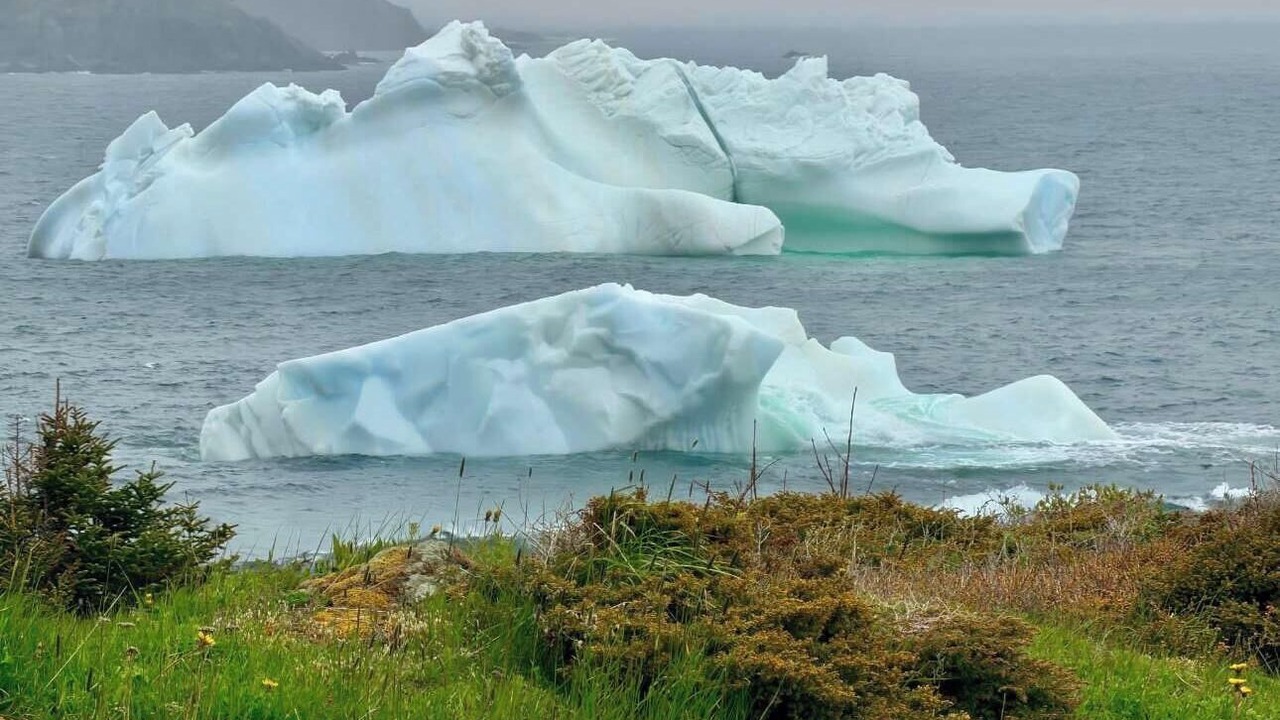 Photo of Others in Twillingate
