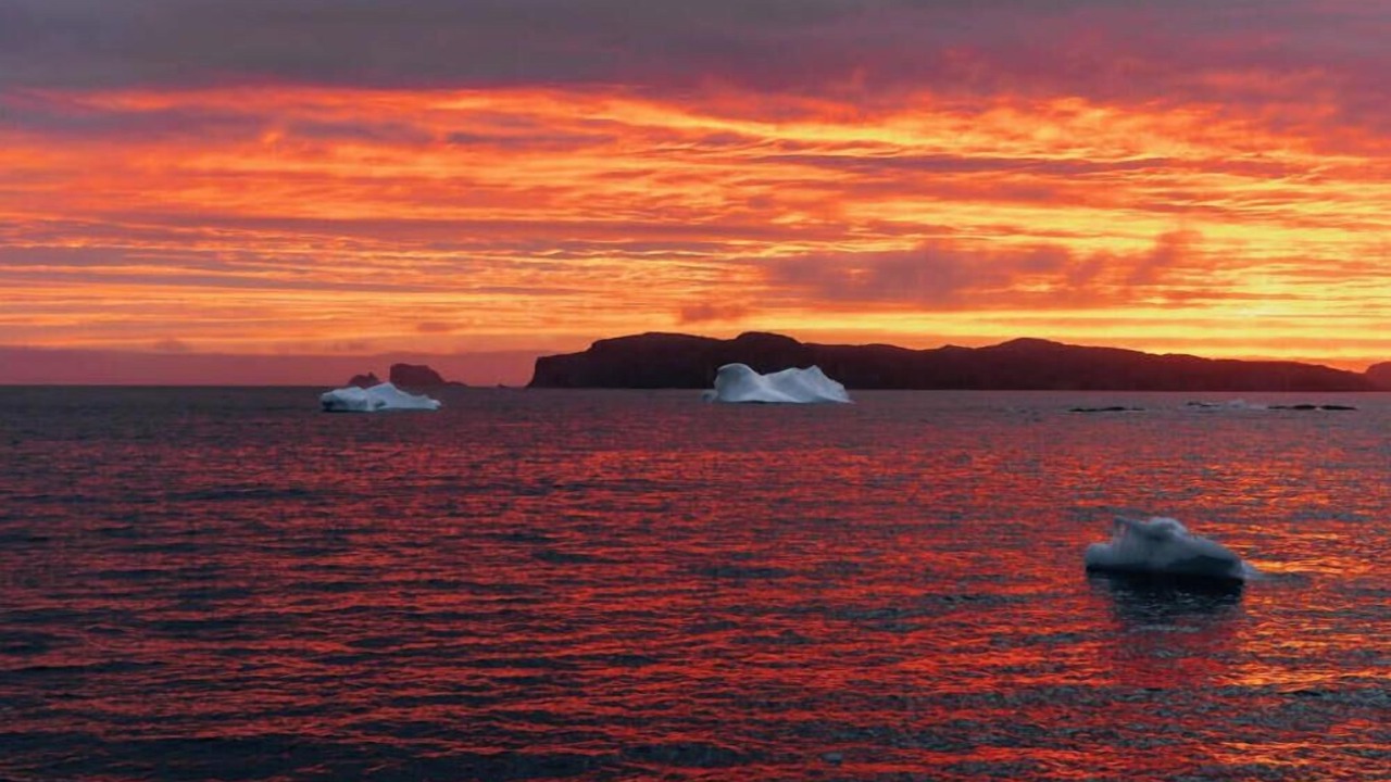 Photo of Others in Twillingate