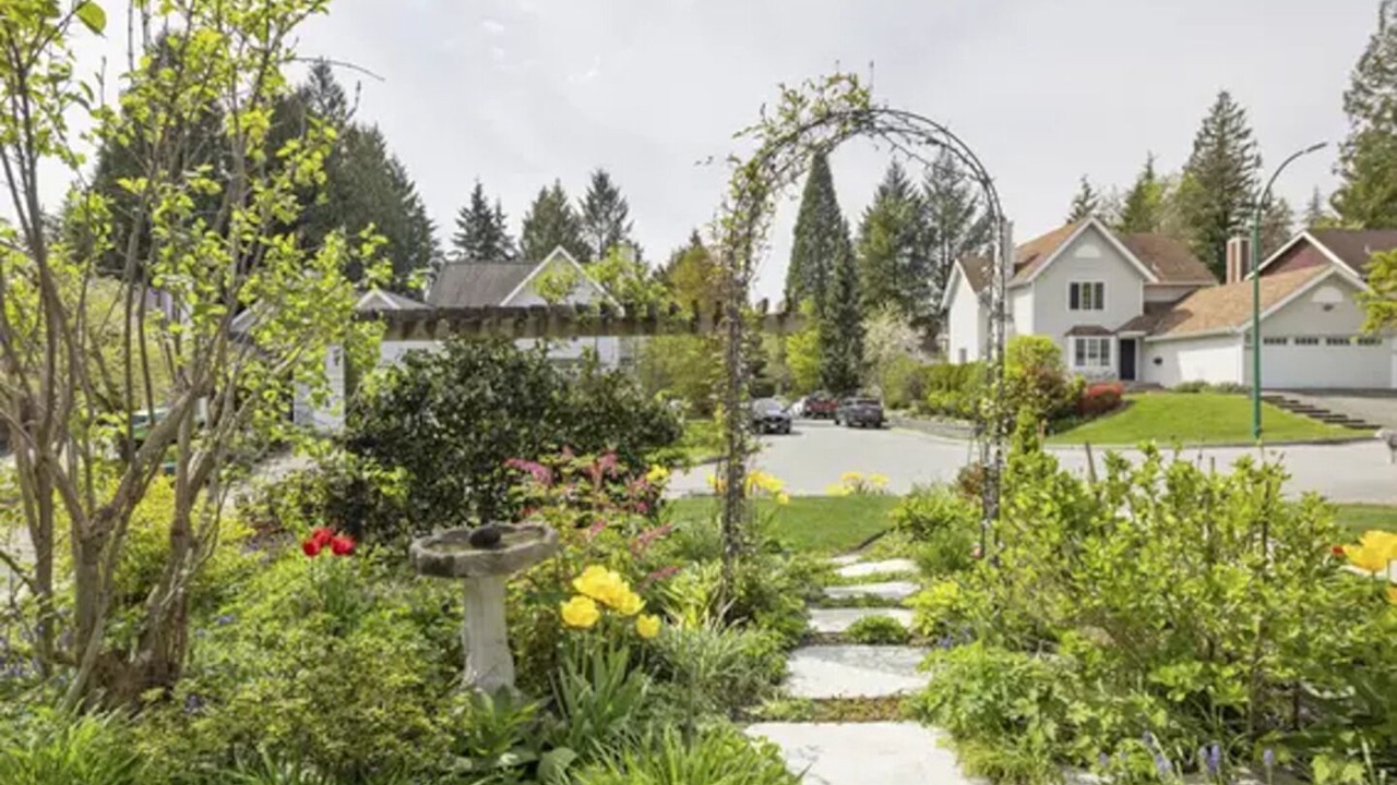 Photo of Outdoor in Lynn Valley
