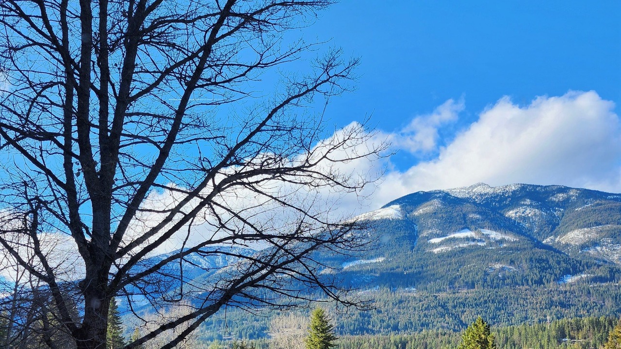 Photo of Outdoor in Proctor