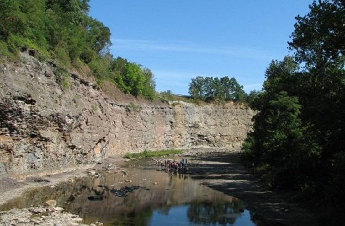 Photo of Others in Vermilion