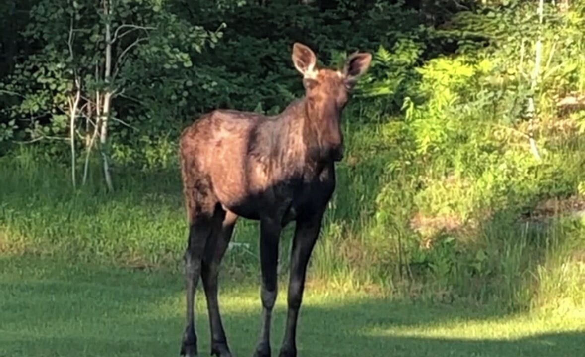 Photo of Others in French River