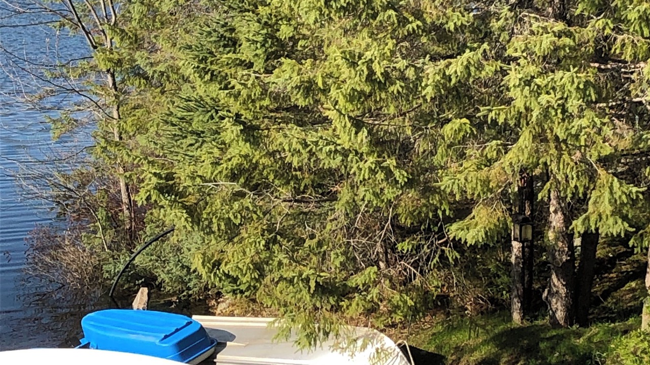 Photo of Others in French River