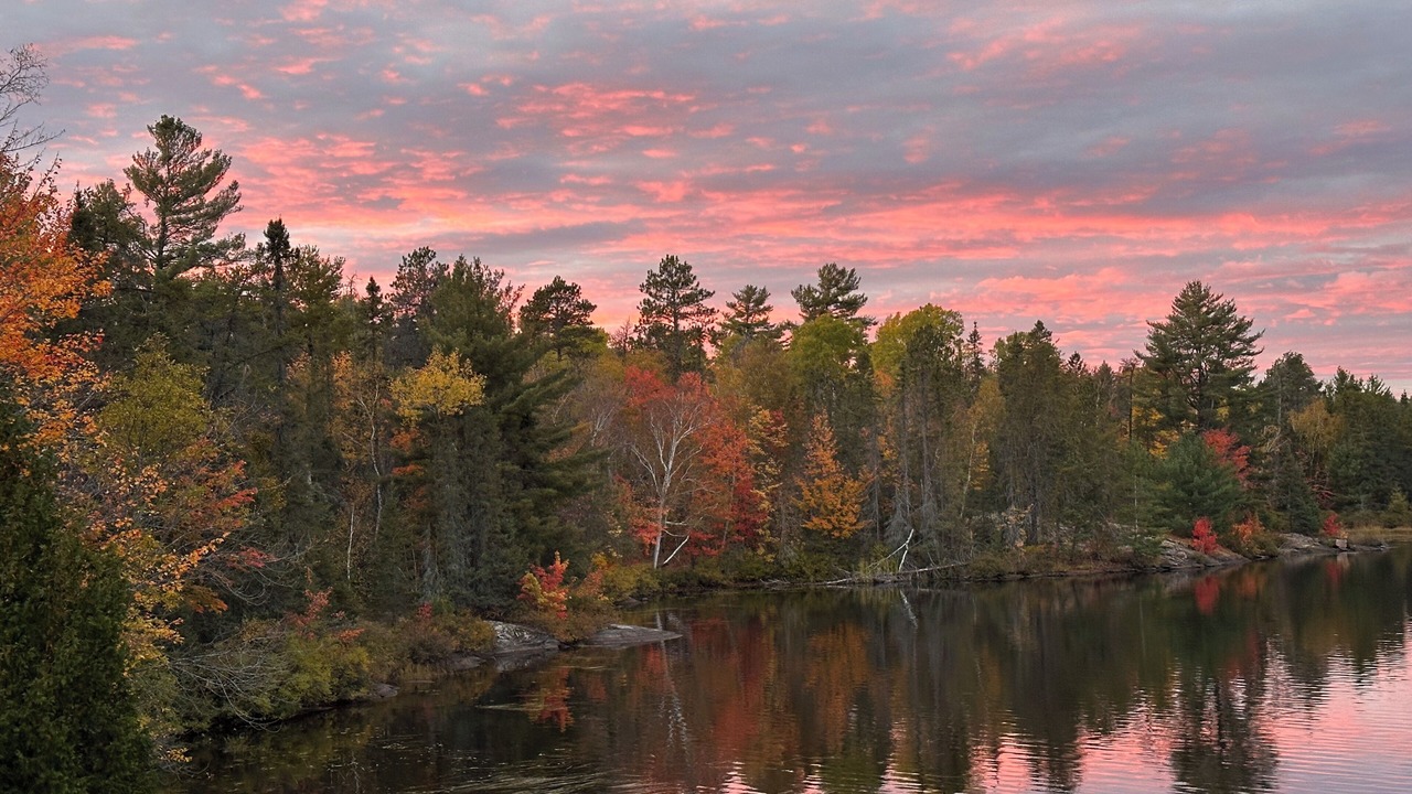 Photo of Others in French River