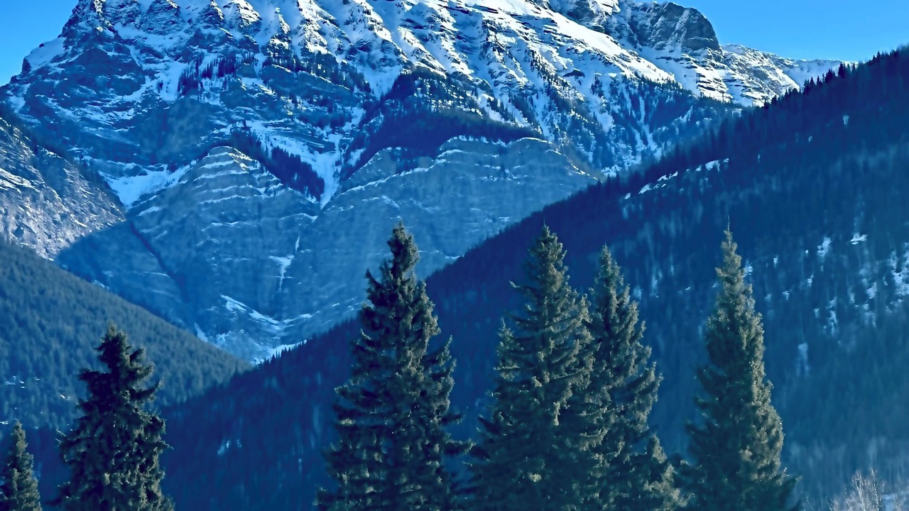 Photo of Others in Blaeberry