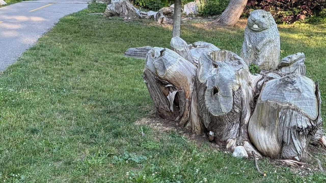 Photo of Outdoor in Southampton