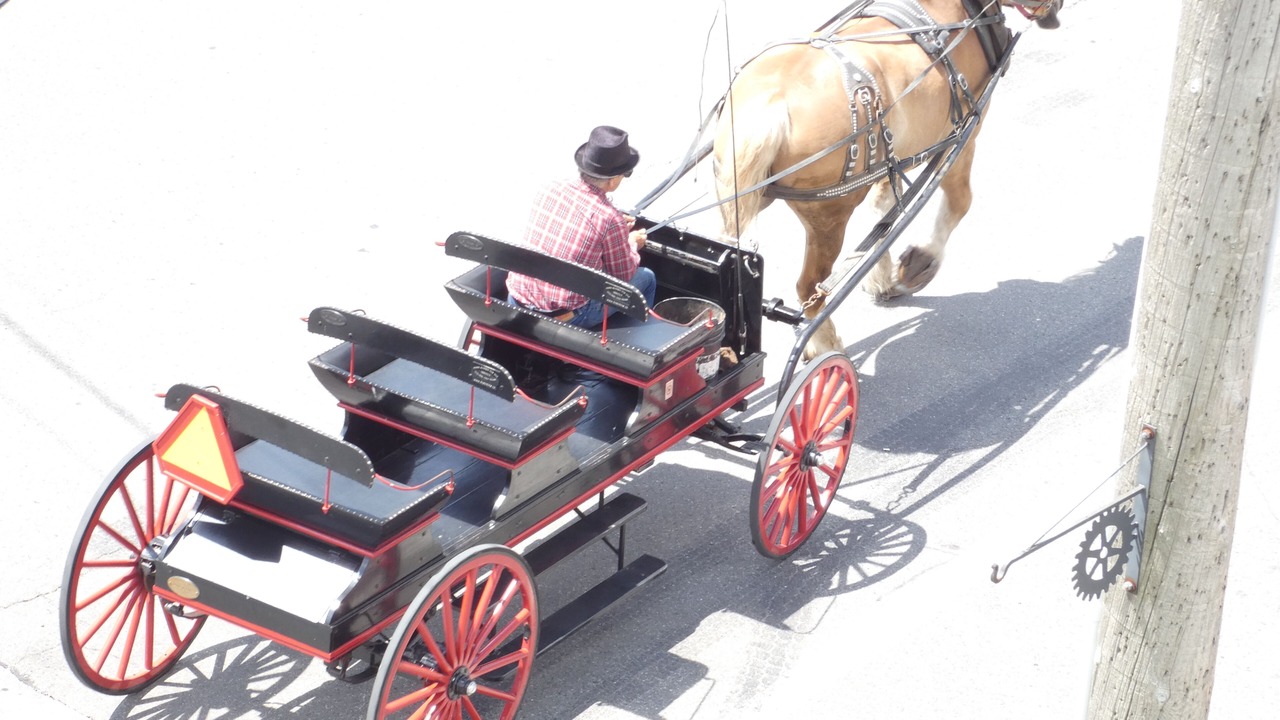 Photo of Others in Lunenburg