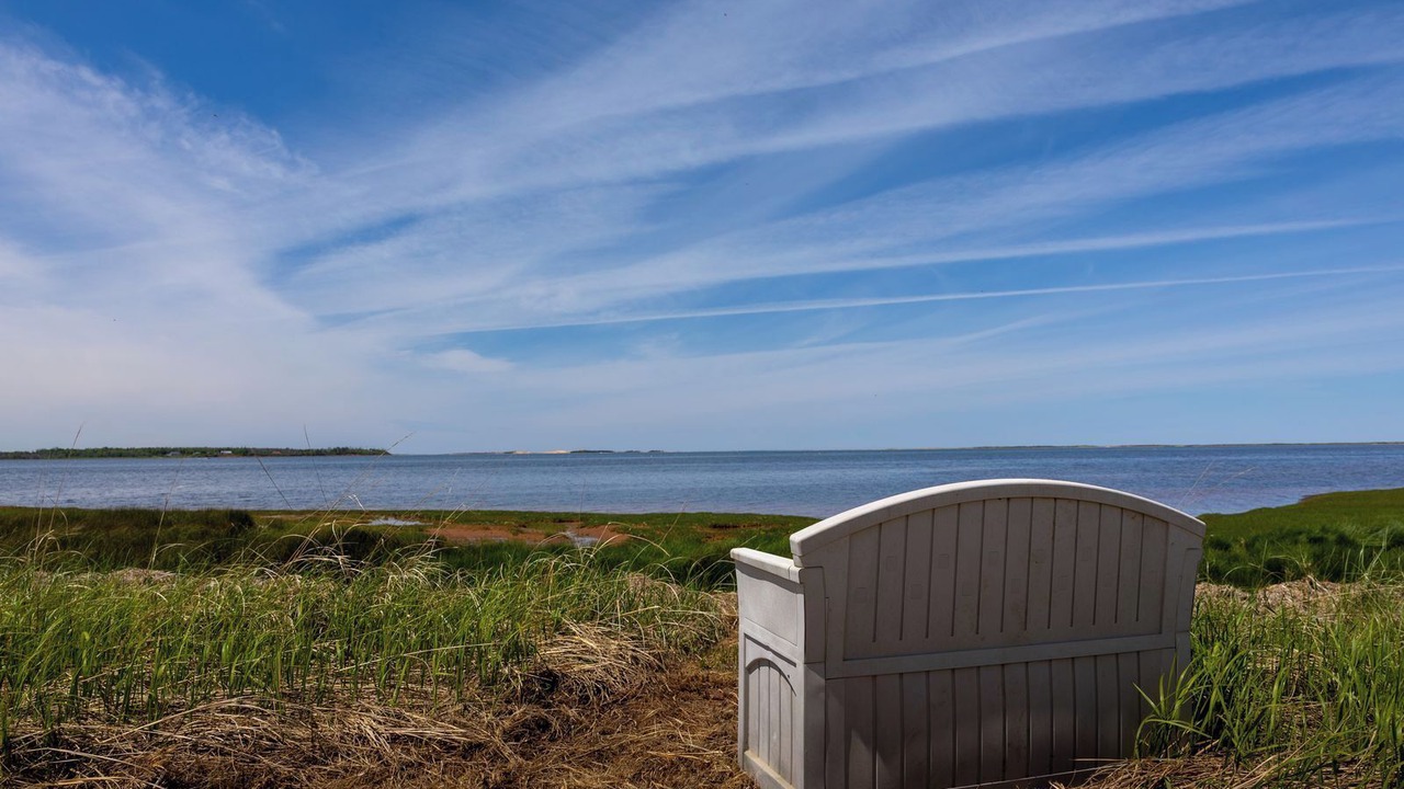 Photo of Others in Blooming Point